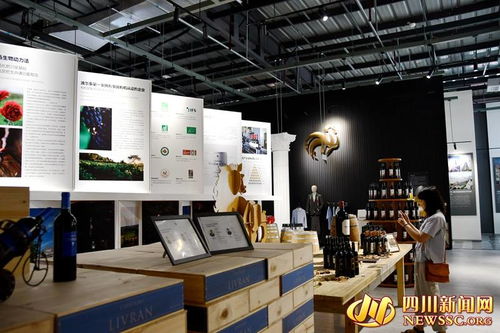 從集貨中心到消費中心 在成都購全球商品與數字創意產品展覽展示服務