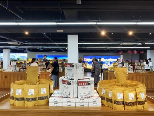 資源縣本土文化創意展示中心揭牌開業 數字創意賦能文化傳承